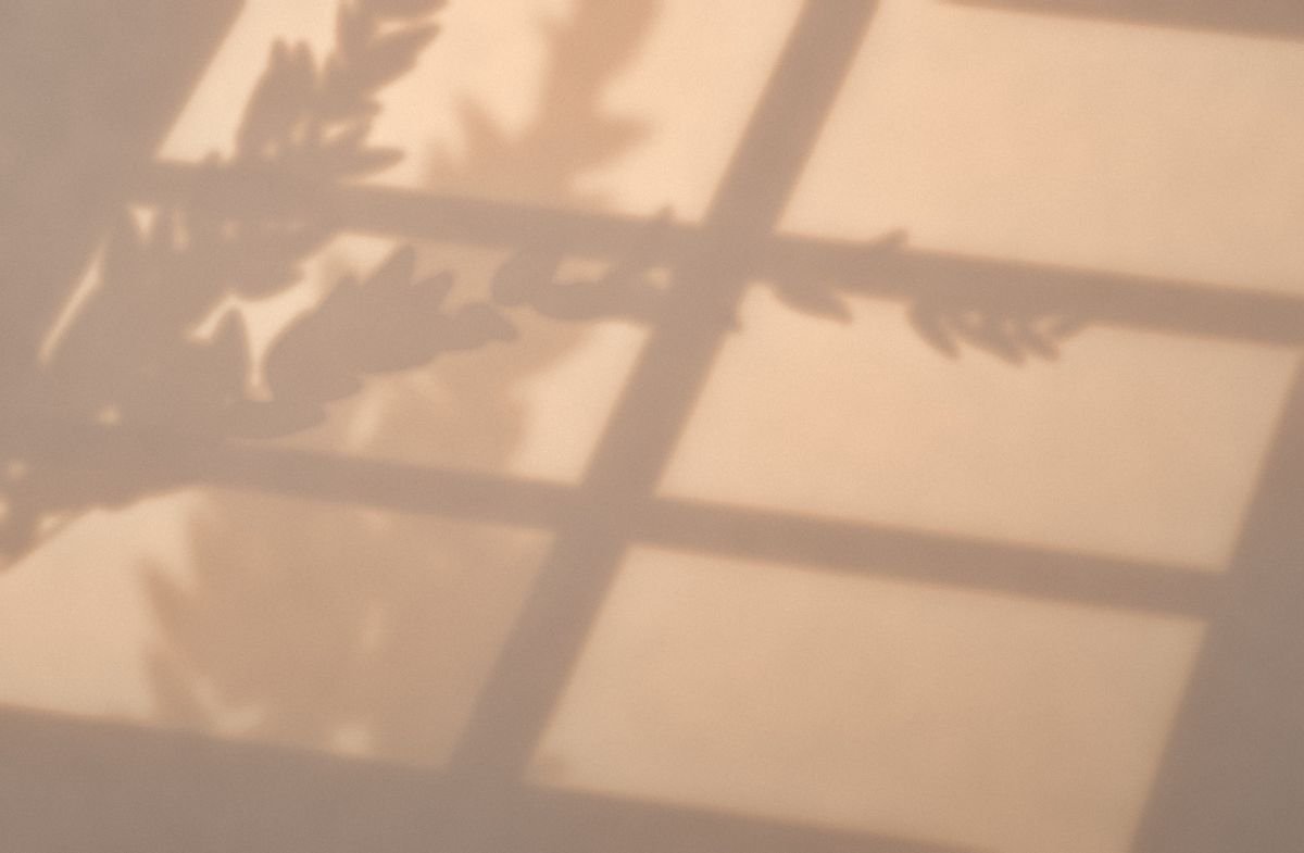 Warm afternoon light and soft leaf shadows on a wall
